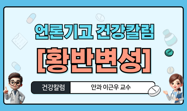 의학정보영상 이미지